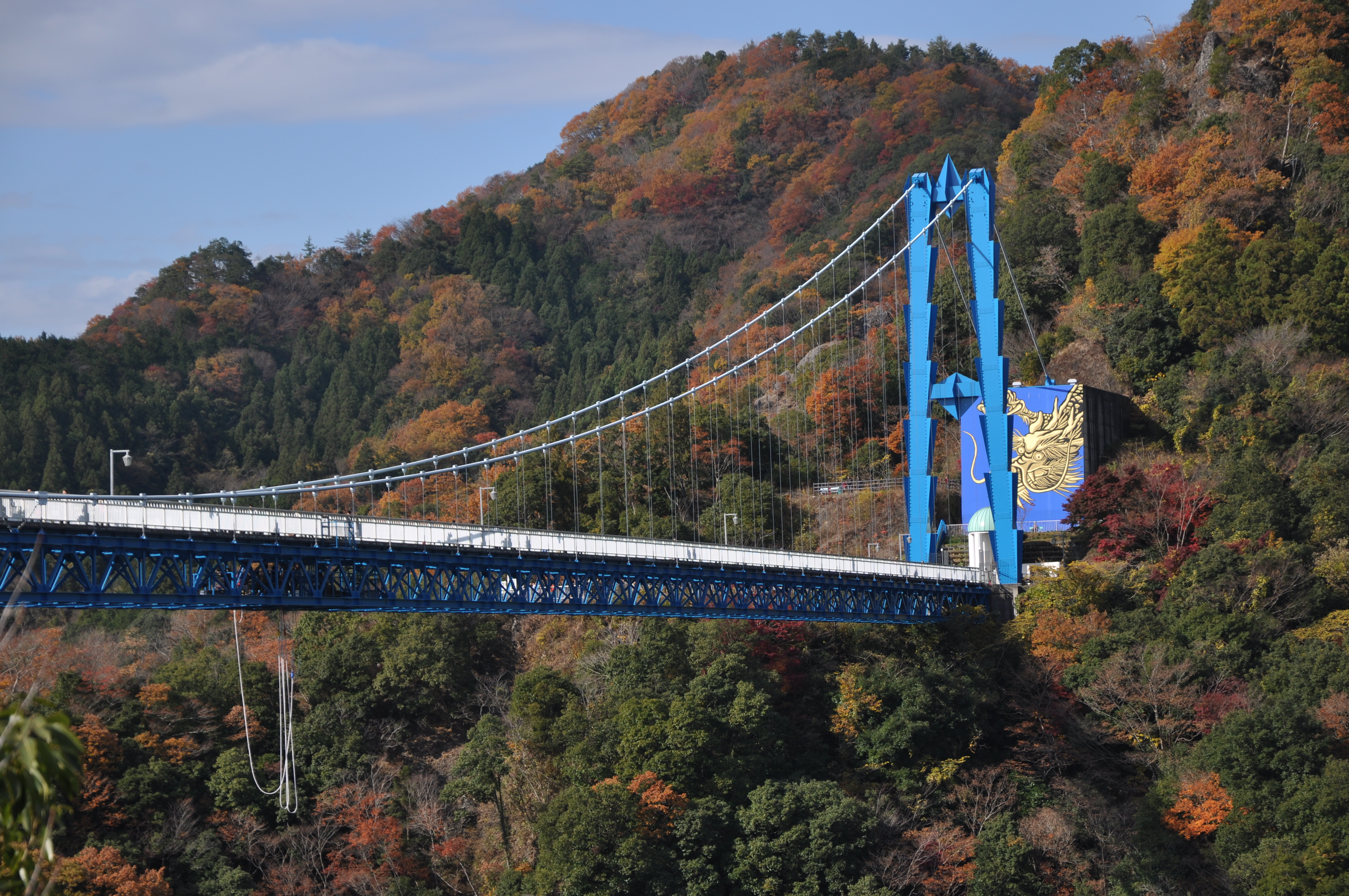 Ejecución de Puentes