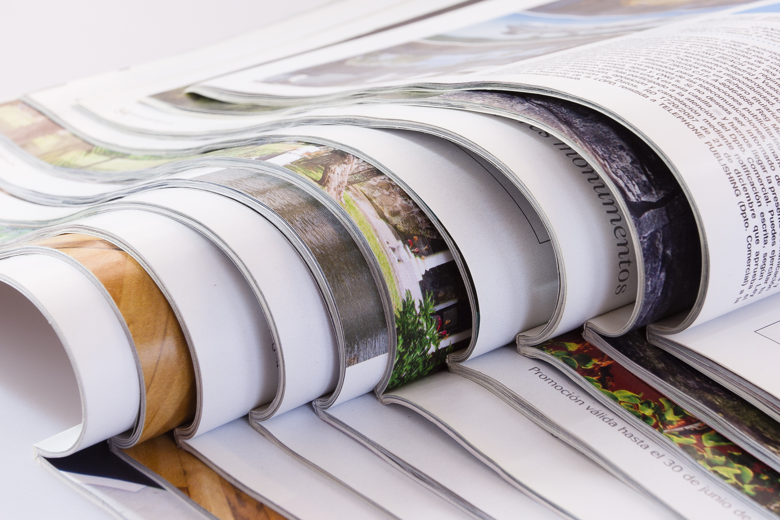 Gestión del conocimiento