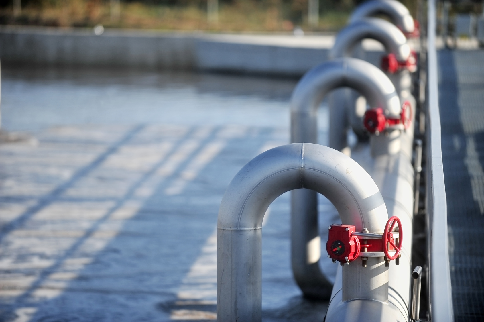 Masterclass – Técnicas de bioindicación y control del proceso de estaciones depuradoras de aguas residuales – 2024