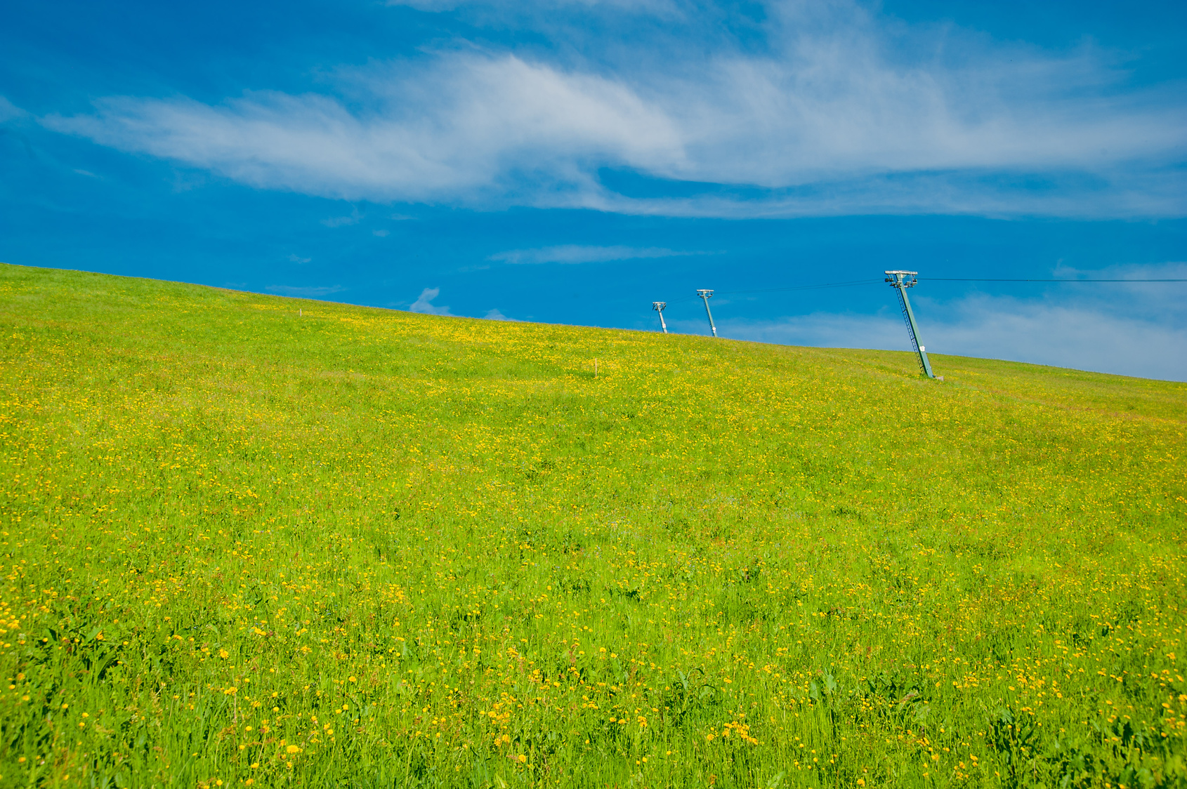 M&A: Claves para la Contabilidad en la Fusión de Sociedades