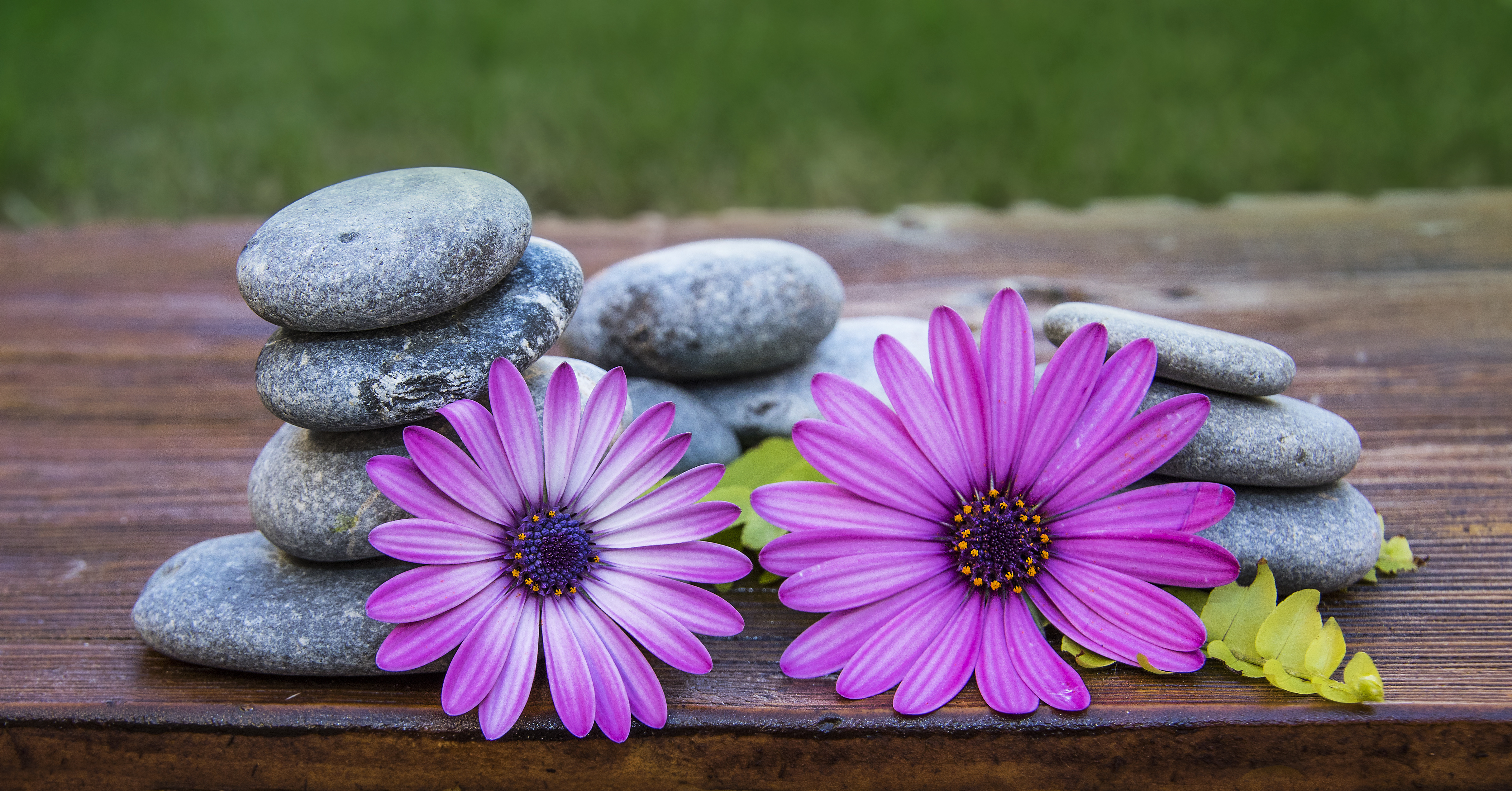 Mente Sana, Vida Plena: Estrategias de Autocuidado Psicológico